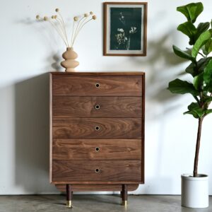 A solid wood dresser with 5 drawers and brass details for the pulls and on the legs. It is staged with a vase on top, a picture and a tree next to it.